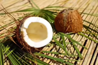 Kokosöl raffiniert 200 g